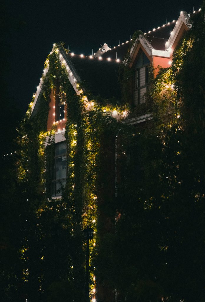 A home with permanent lighting is wreathed in a vine plant and makes the permanent lighting dimmed but still bright